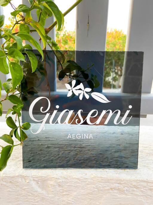 Giasemi Aegina, Modern House Villa Eksteriør billede