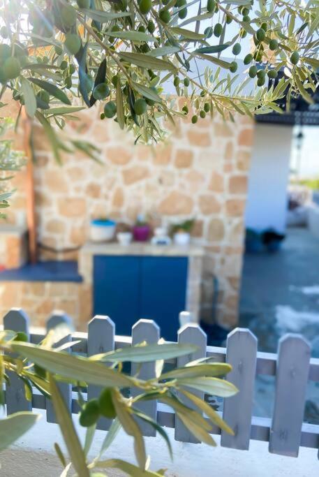 Giasemi Aegina, Modern House Villa Eksteriør billede